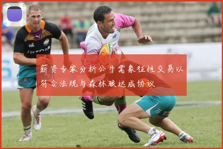 薪资专家分析公牛需象征性交易以符合法规与森林狼达成协议